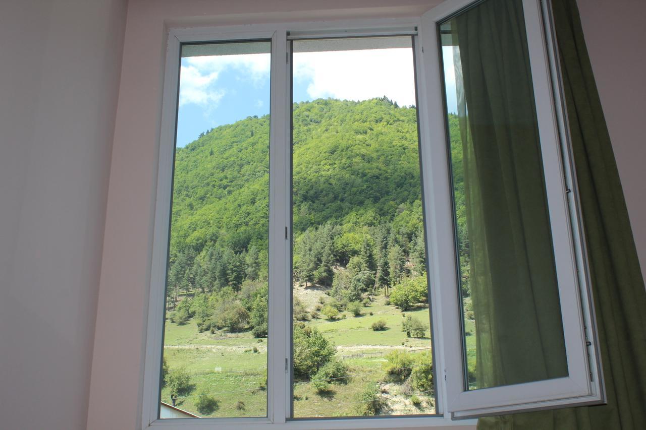Mariana'S Guest House 梅斯蒂亚 外观 照片